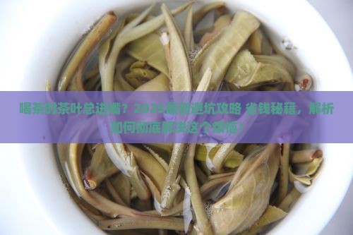 喝茶的时候茶叶进嘴