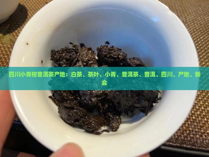 四川小青柑普洱茶产地