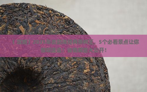 勐海经典茶树王