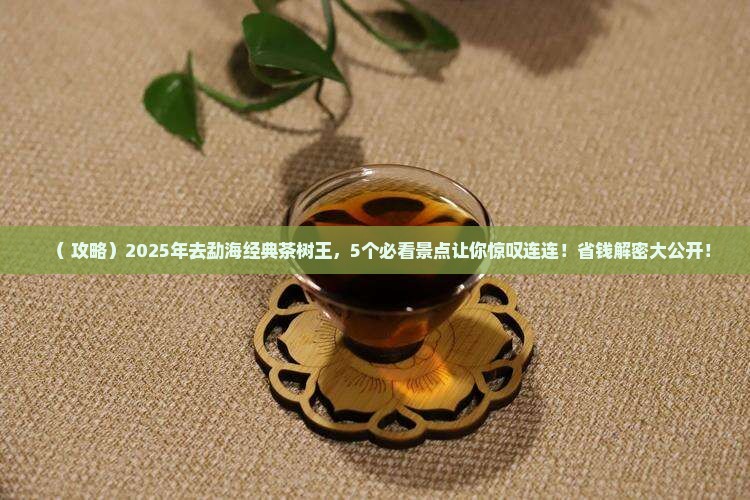 勐海经典茶树王