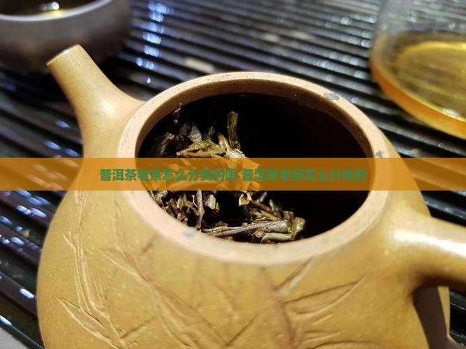 普洱茶老茶怎么分类的