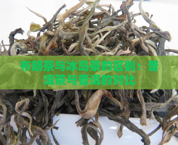 布朗茶和冰岛茶