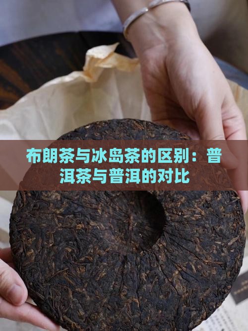布朗茶和冰岛茶