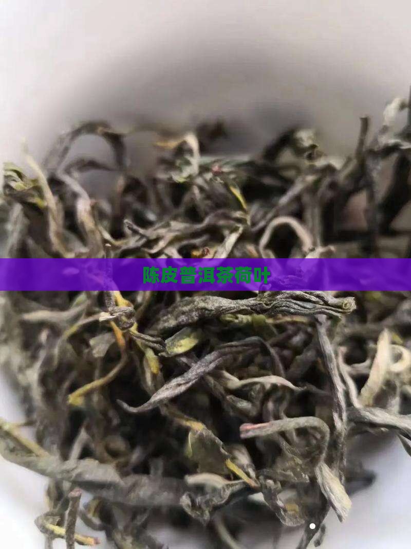 陈皮普洱茶荷叶