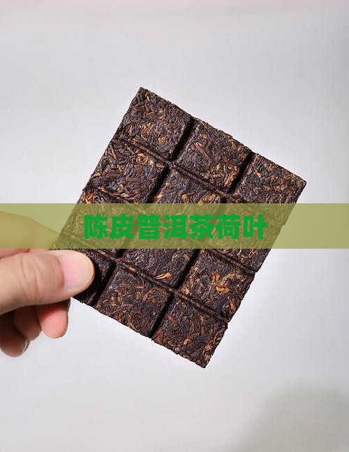 陈皮普洱茶荷叶