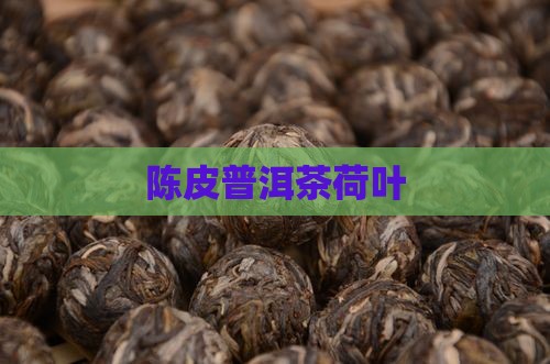 陈皮普洱茶荷叶