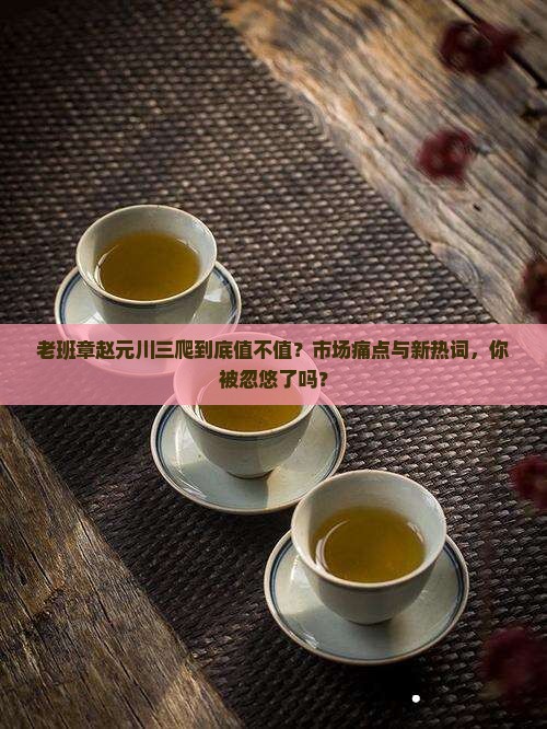 老班章赵元川三爬
