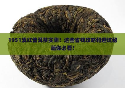 1951滇红普洱茶