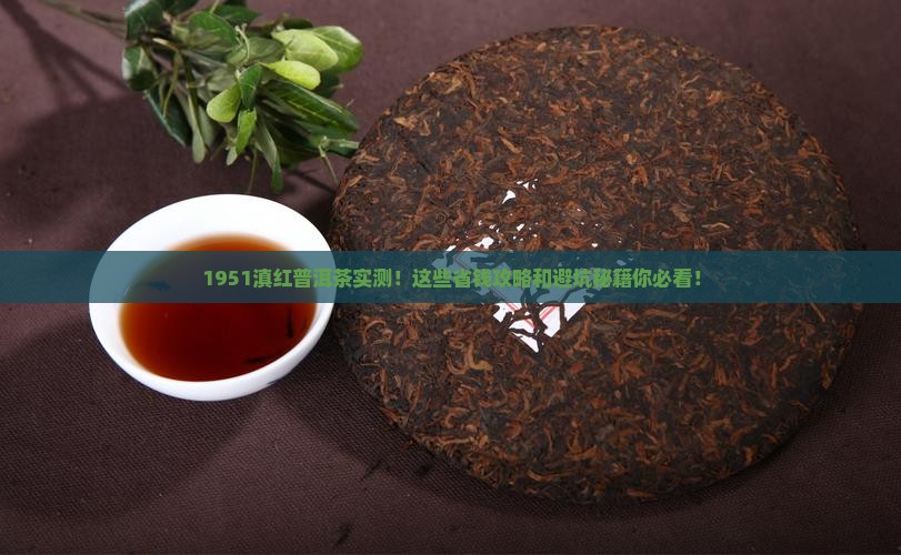 1951滇红普洱茶