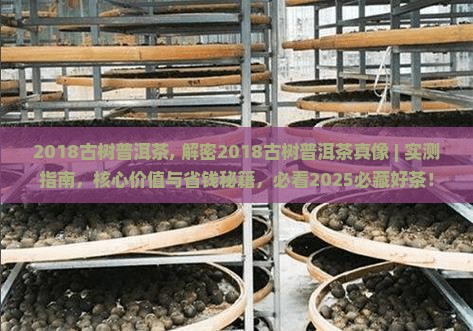 2018古树普洱茶