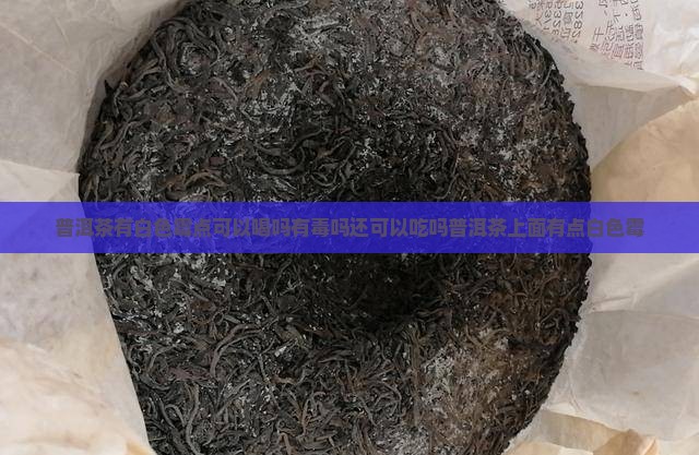普洱茶有白色霉点可以喝吗