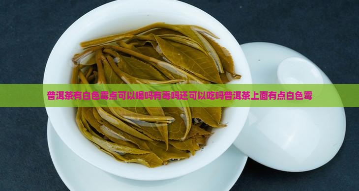 普洱茶有白色霉点可以喝吗
