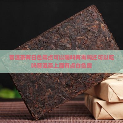 普洱茶有白色霉点可以喝吗