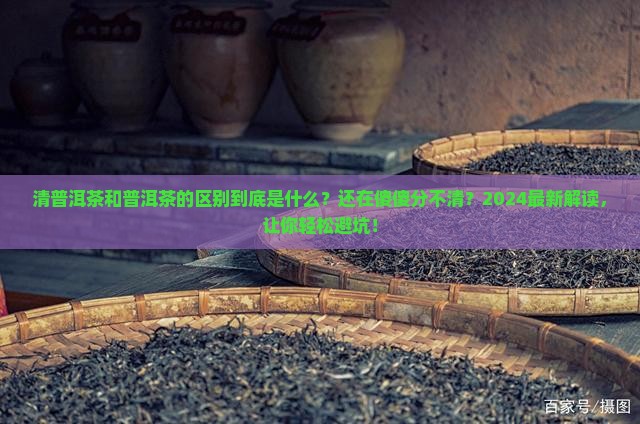 清普洱茶和普洱茶的区别