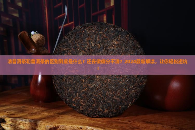 清普洱茶和普洱茶的区别