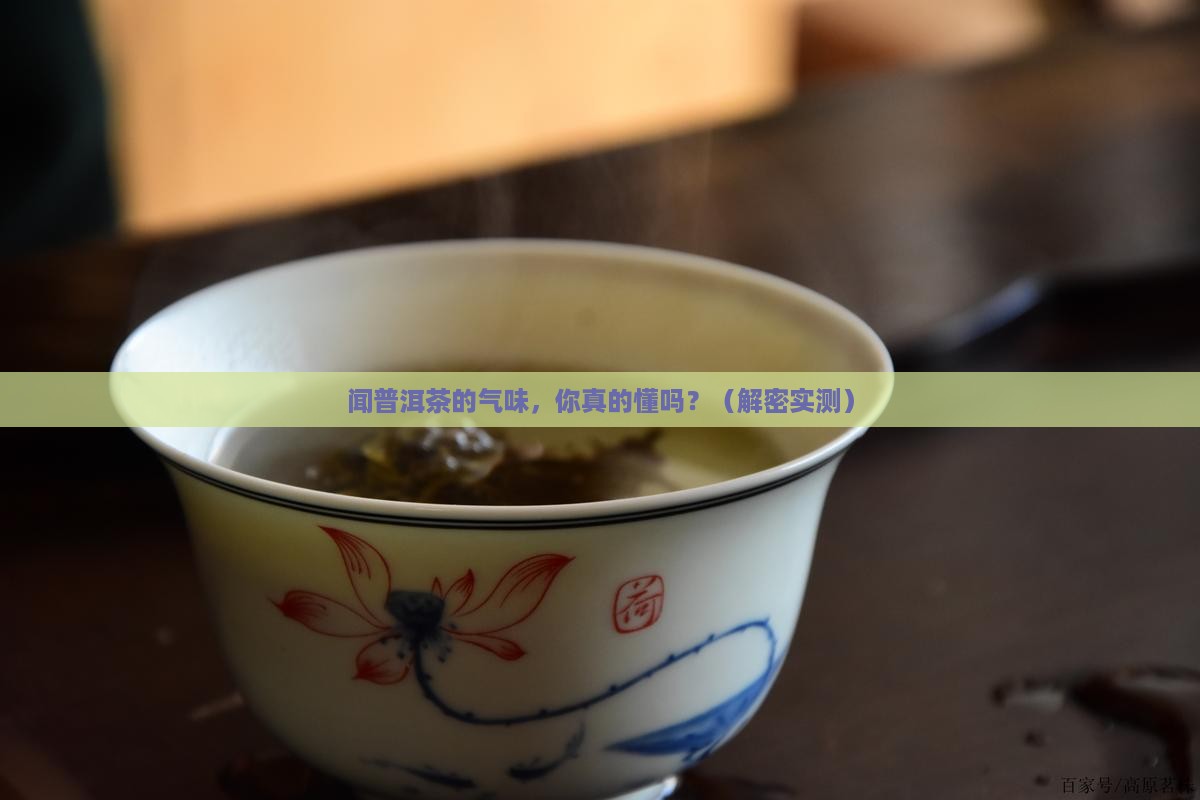 闻普洱茶的气味