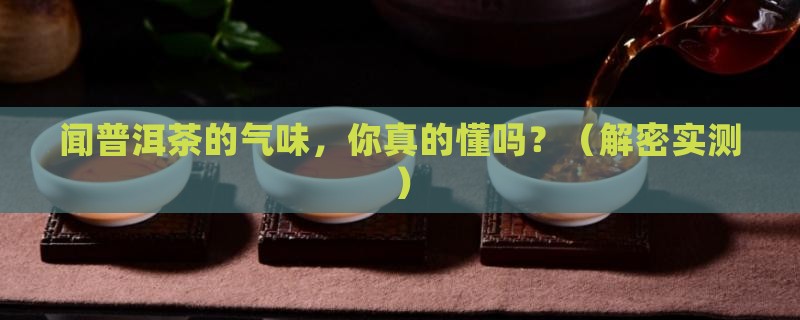 闻普洱茶的气味