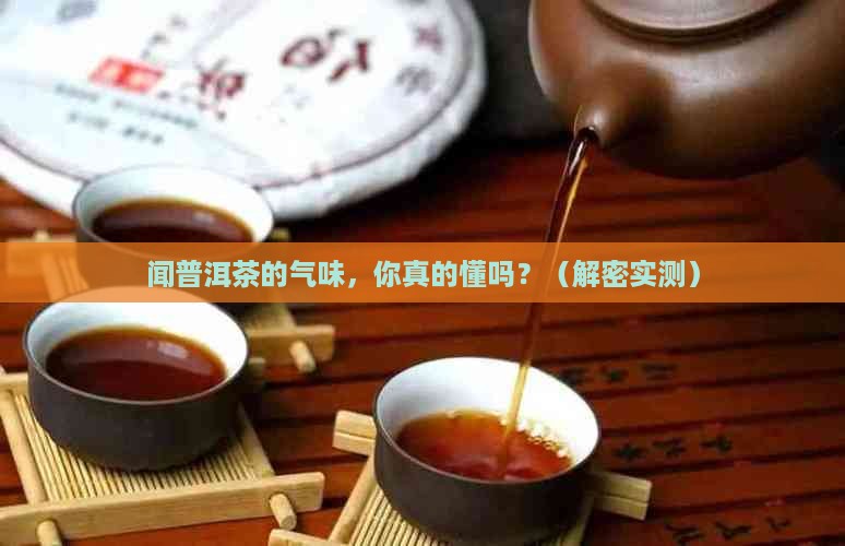 闻普洱茶的气味