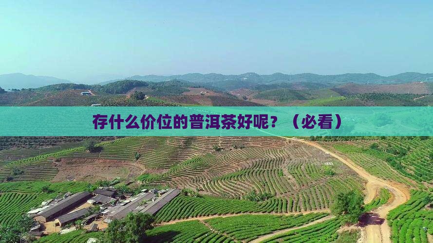 存什么价位的普洱茶好呢