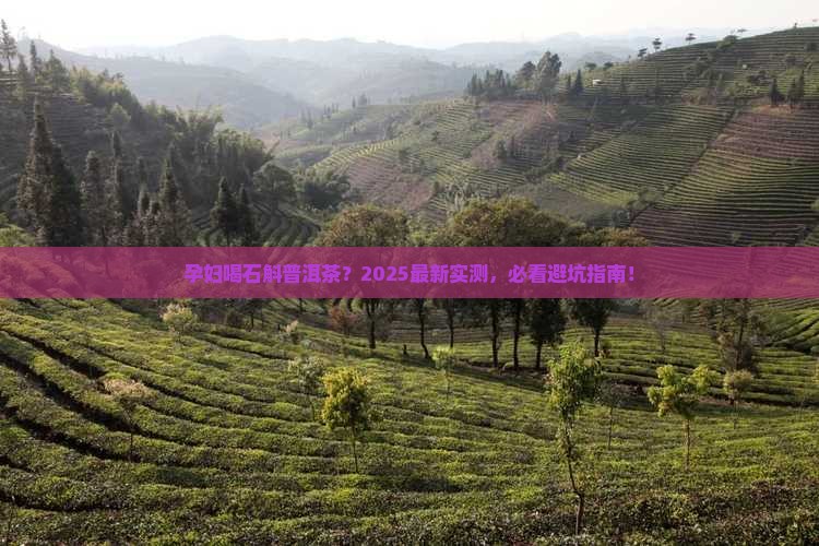 孕妇能否喝石斛普洱茶