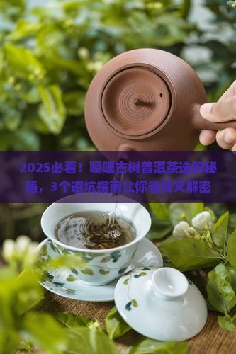 嘎哩古树普洱茶