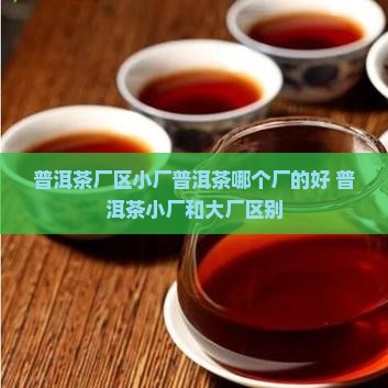 普洱茶厂区小厂普洱茶哪个厂的好 普洱茶厂区小厂普洱茶哪个厂的好