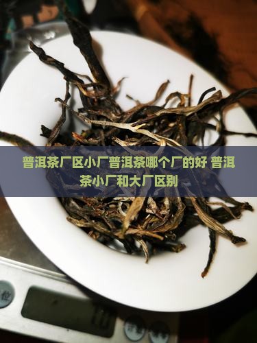 普洱茶厂区小厂普洱茶哪个厂的好 普洱茶厂区小厂普洱茶哪个厂的好