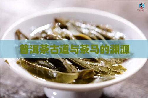 普洱茶和马的关系