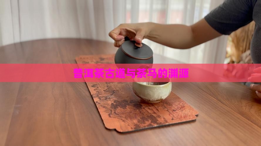 普洱茶和马的关系