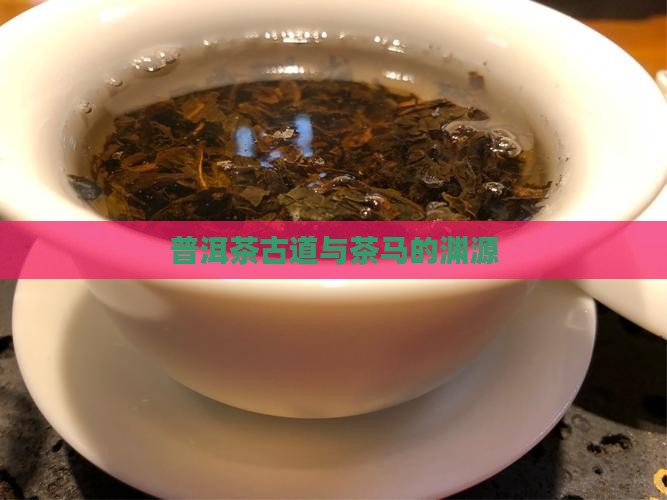 普洱茶和马的关系
