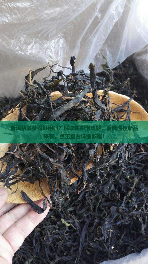 普洱茶装茶器好用吗吗怎么装