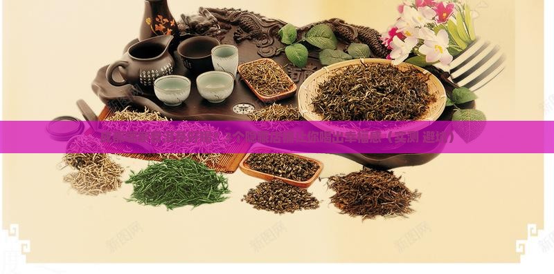 成都哪里卖普洱茶好喝的