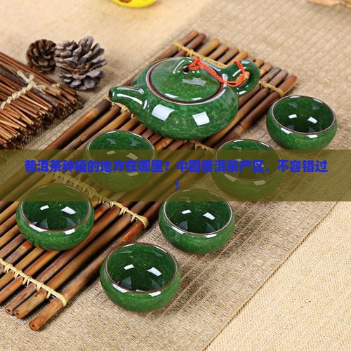 普洱茶种植的地方在哪里