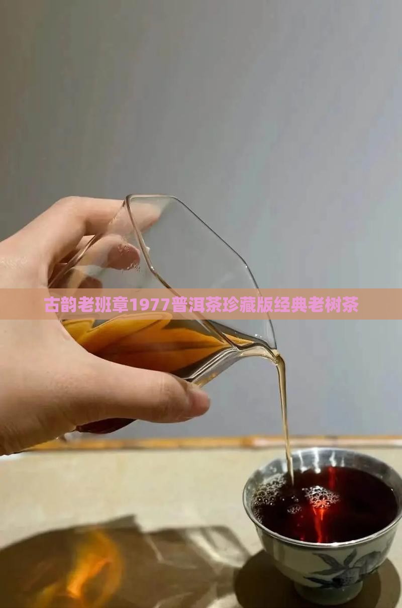 古韵老班章1977
