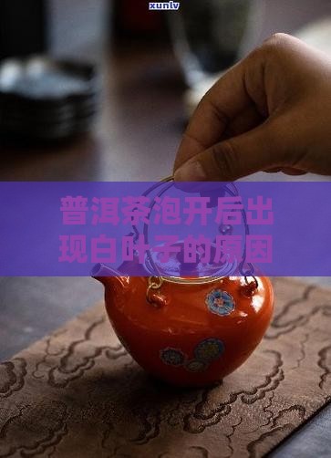 普洱茶泡开有白叶子