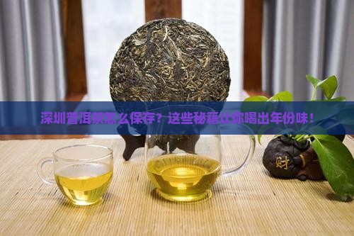 在深圳普洱茶怎么保存好