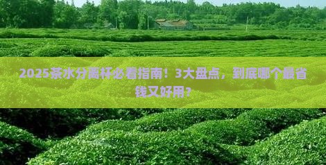 茶水分离杯品牌排行榜