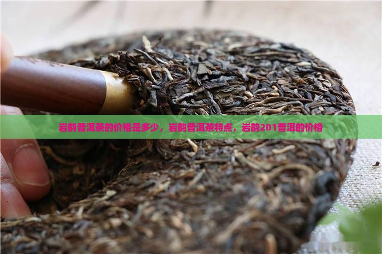 岩韵普洱茶的价格