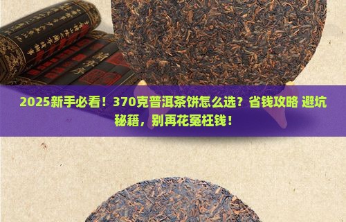 普洱茶饼370克