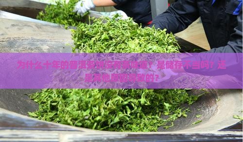 十年的普洱茶饼没有茶味道