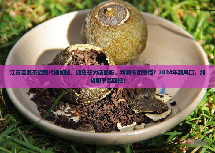 江苏普洱茶招商代理加盟