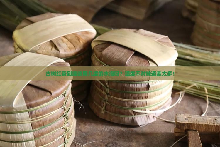 古树红茶用多少度的水
