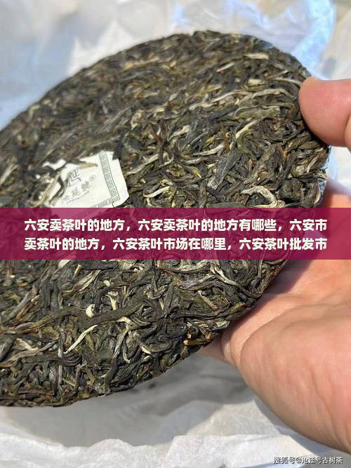 六安卖茶叶的地方