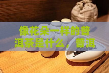 像花朵一样的普洱茶是什么