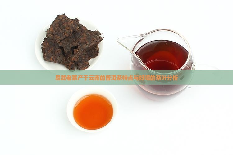 易武老寨普洱茶好不好喝呢