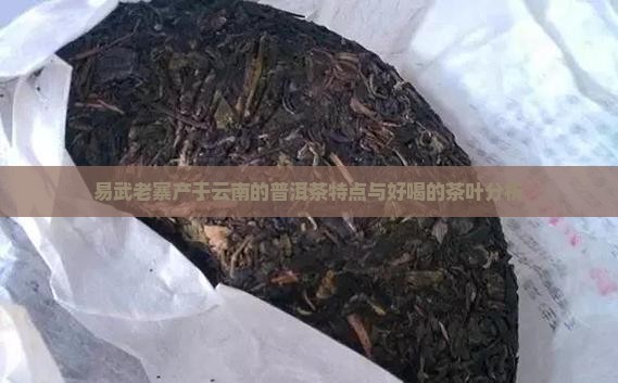 易武老寨普洱茶好不好喝呢