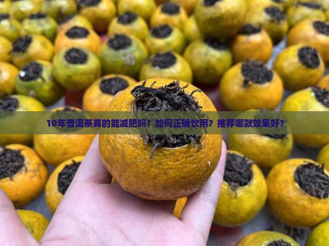 10年普洱茶减肥推荐一款