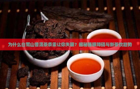 白莺山普洱茶条索