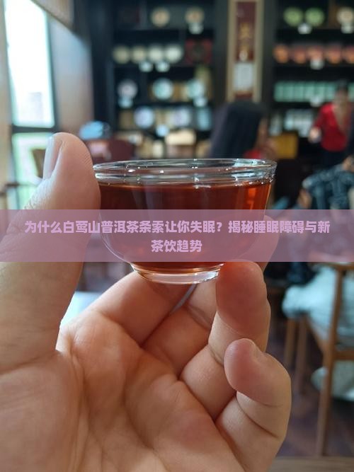 白莺山普洱茶条索