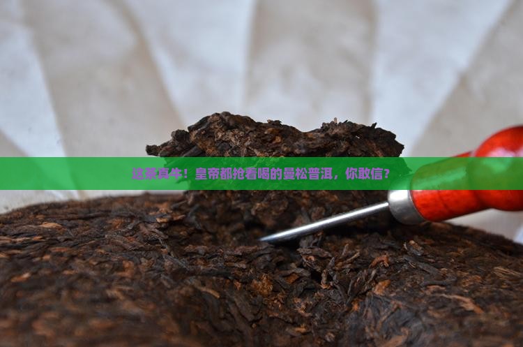 被誉为皇帝贡茶的曼松普洱